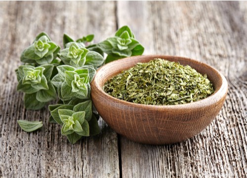 17 Proven Herbal Remedies to Keep Your Dog Healthy