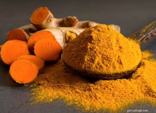 17 Proven Herbal Remedies to Keep Your Dog Healthy