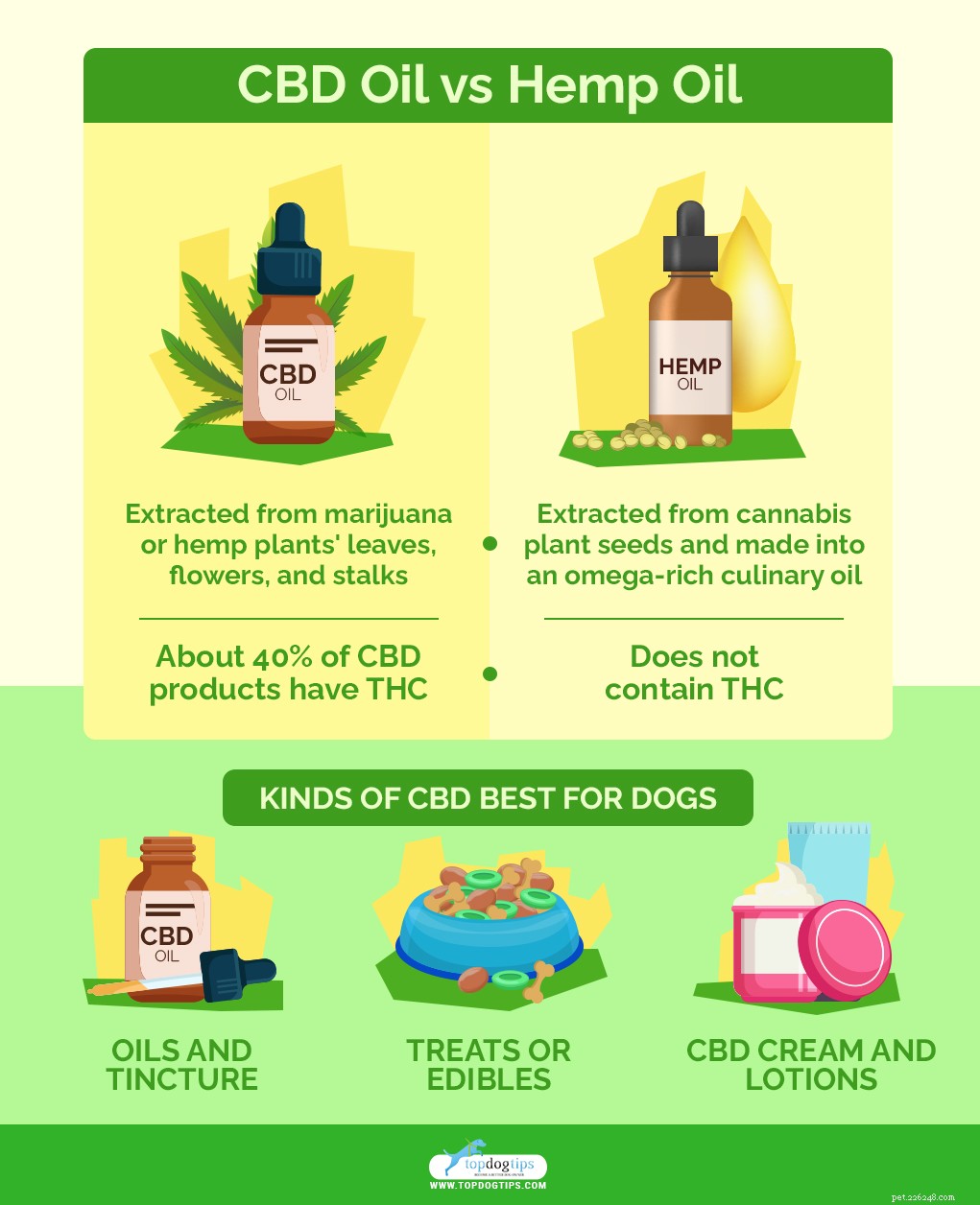 CBD for Dogs: The Complete Guide to Safe Use & Benefits
