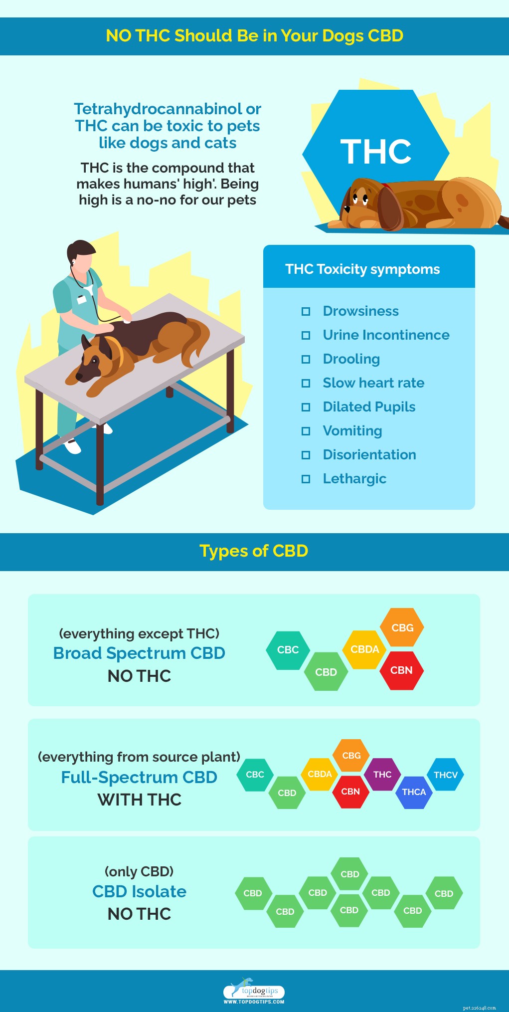 CBD for Dogs: The Complete Guide to Safe Use & Benefits