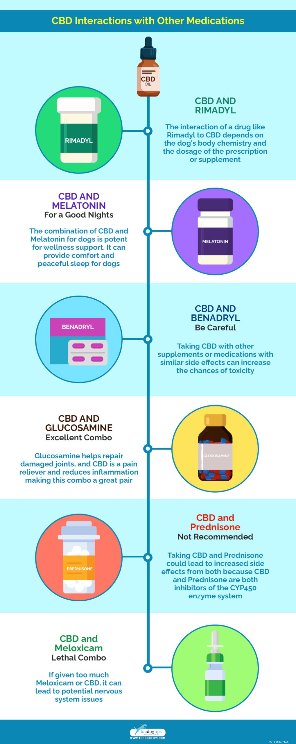CBD for Dogs: The Complete Guide to Safe Use & Benefits