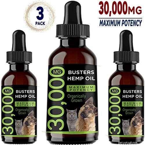 Top 5 Trusted Hemp Oil Supplements for Dogs: A Comprehensive Guide