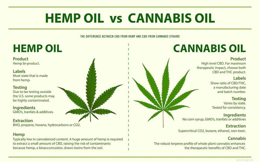 Top 5 Trusted Hemp Oil Supplements for Dogs: A Comprehensive Guide