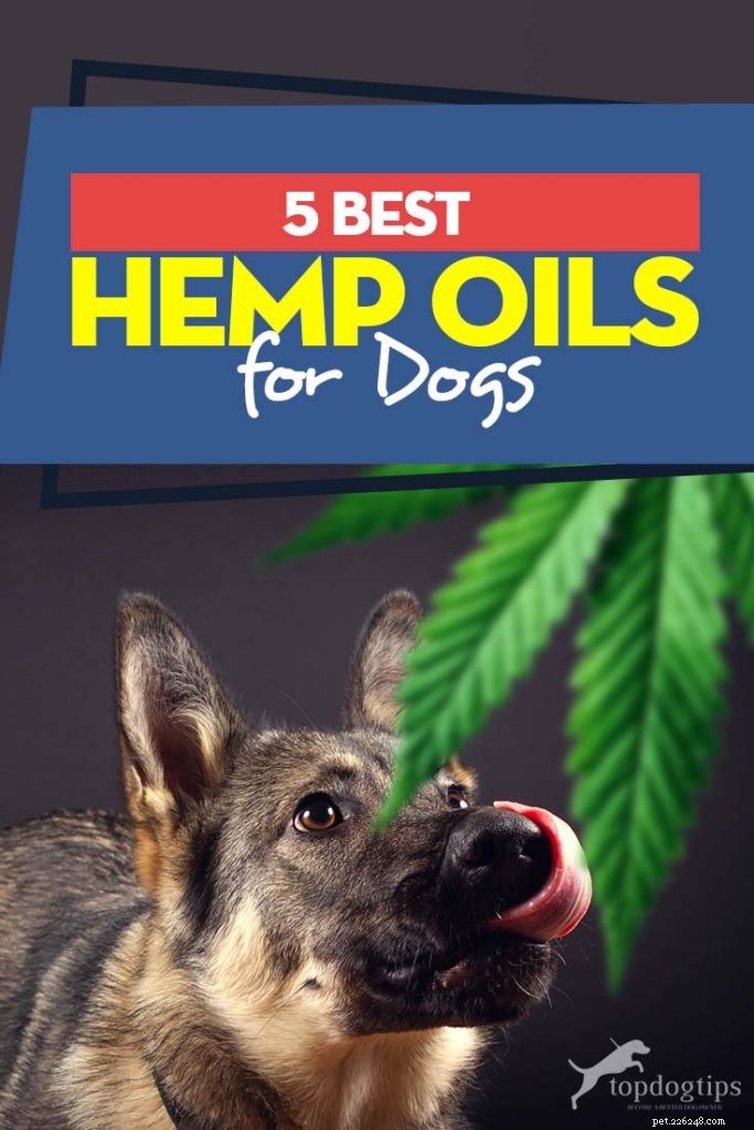Top 5 Trusted Hemp Oil Supplements for Dogs: A Comprehensive Guide