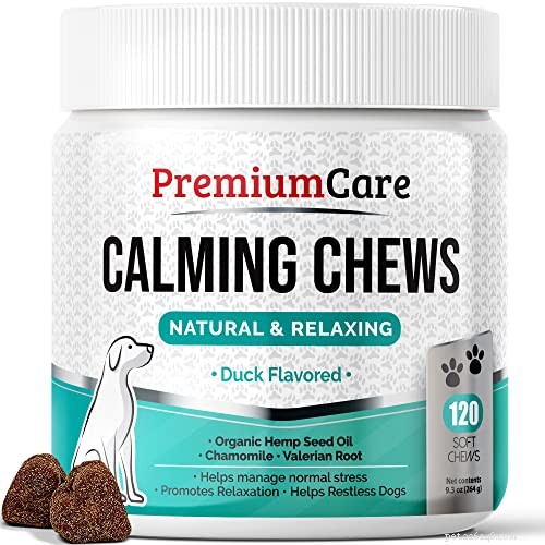 Top 5 Hemp Dog Treats for Pain, Stress, and Anxiety Relief