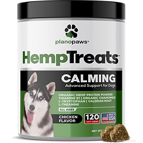 Top 5 Hemp Dog Treats for Pain, Stress, and Anxiety Relief