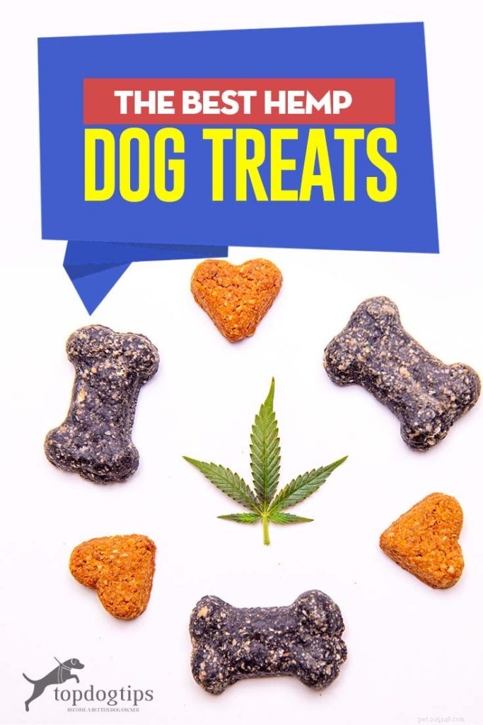 Top 5 Hemp Dog Treats for Pain, Stress, and Anxiety Relief