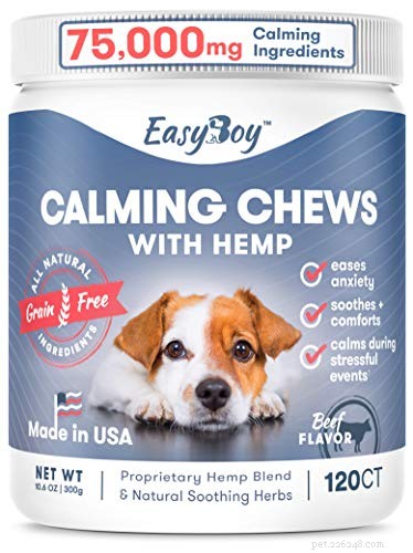 Top 5 Hemp Dog Treats for Pain, Stress, and Anxiety Relief