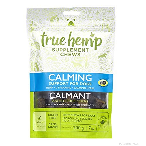 Top 5 Hemp Dog Treats for Pain, Stress, and Anxiety Relief