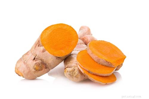 Top 5 Safe Home Remedies to Relieve Your Dog s Pain