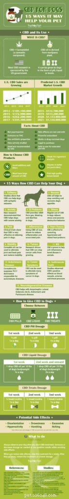 Top 5 Safe Home Remedies to Relieve Your Dog s Pain
