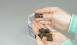 Easyboy Hemp Dog Treats Review: Calming Soft Chews for Stress Relief