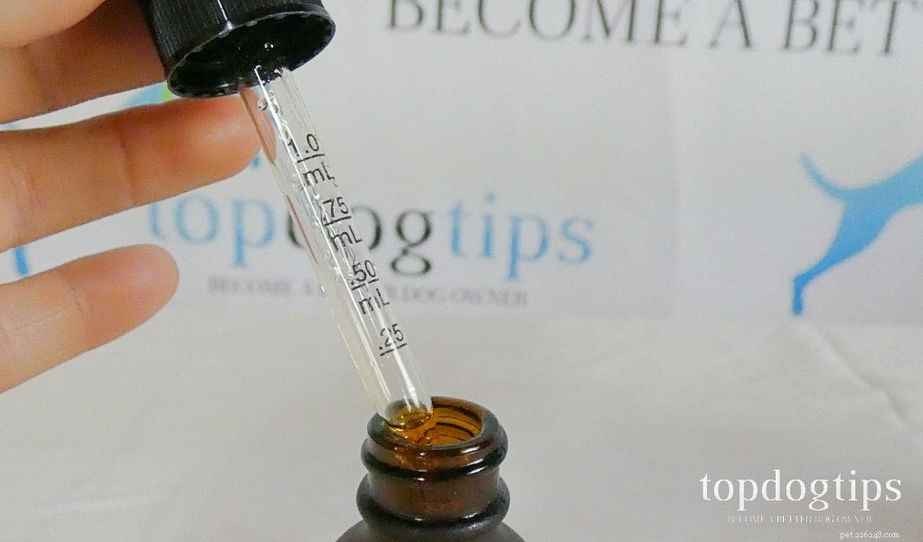 Prospect Farms CBD for Dogs: Safe, Effective, and Vet‑Approved