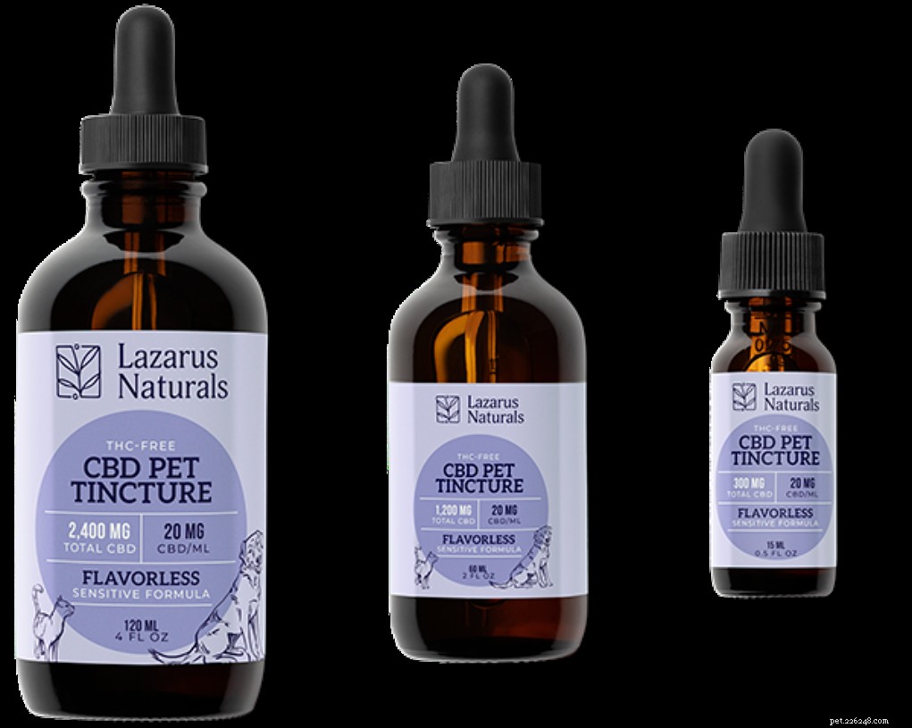 Win a Premium Lazarus Naturals CBD Prize Pack Worth $85+ – Enter the Giveaway Now!