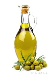 Top 5 Essential Oils for Enhancing Your Dog’s Health and Coat