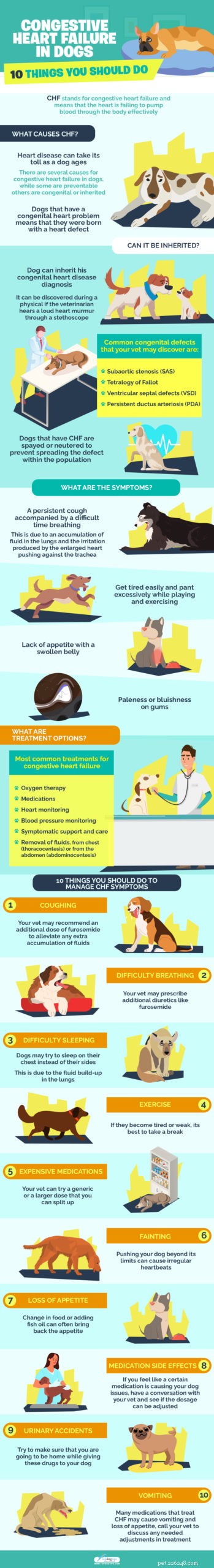 10 Essential Steps to Manage Congestive Heart Failure in Your Senior Dog