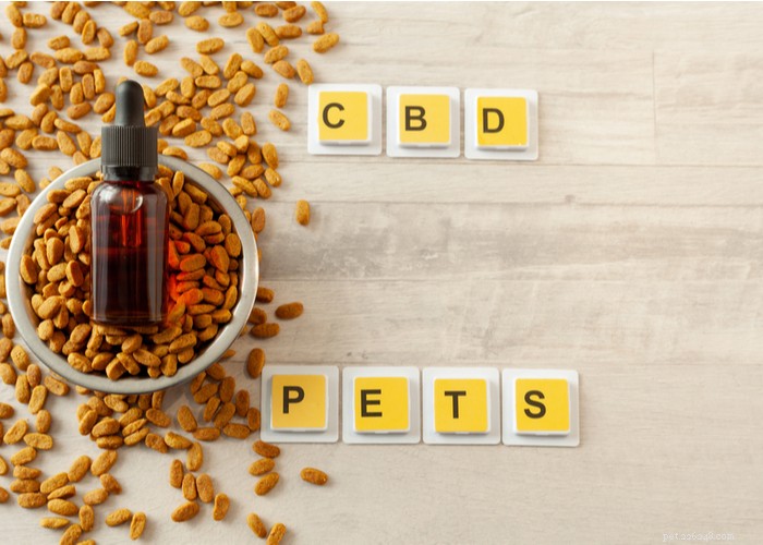 How CBD Can Help Manage Dog Seizures: Evidence, Benefits & Safety