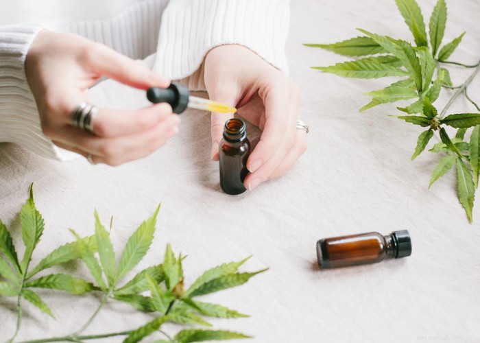Is Human-Grade CBD Safe for Dogs? A Guide to Choosing the Right Pet CBD