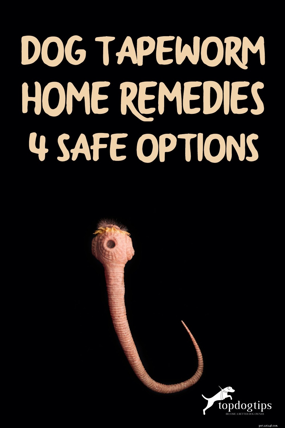 Effective & Safe Dog Tapeworm Treatments: 4 Proven Home Remedies