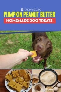 Homemade Pumpkin & Peanut Butter Dog Treats – Healthy, Easy Recipe
