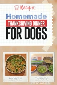 Homemade Thanksgiving Feast for Dogs: Safe, Delicious, Family‑Friendly Recipe