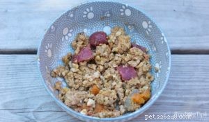 Homemade Dog Food Made Simple: A Complete, Nutritious Recipe Guide