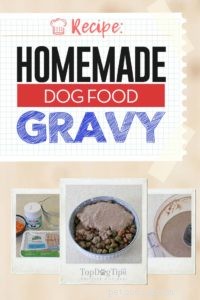 Homemade Dog Food Gravy: Healthy, Appetite-Boosting Recipe