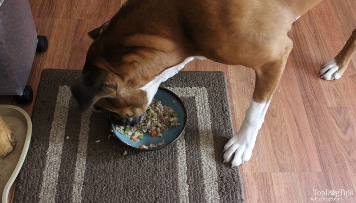 Easy Crock-Pot Beef & Rice Dog Food – Homemade, Healthy & Time-Saving