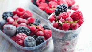 Cool & Healthy Frozen Dog Treats to Beat the Heat