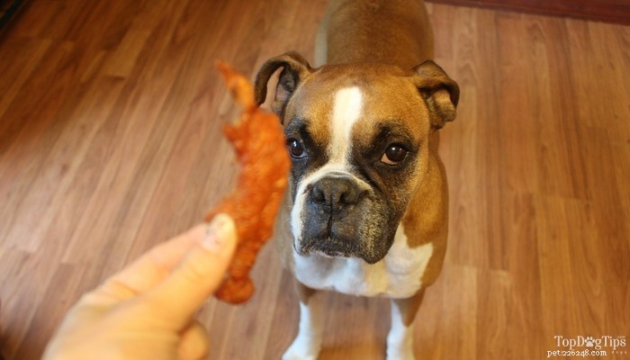 Homemade Chicken Jerky Dog Treats: Healthy, Easy & Budget-Friendly