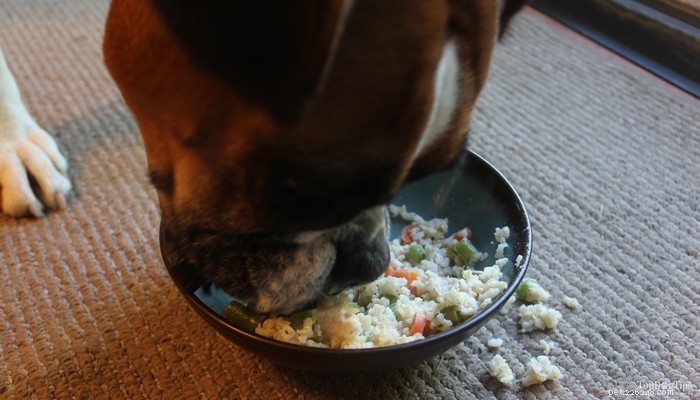 Homemade Chicken, Rice & Veggie Dog Food: A Balanced, Vet-Approved Recipe