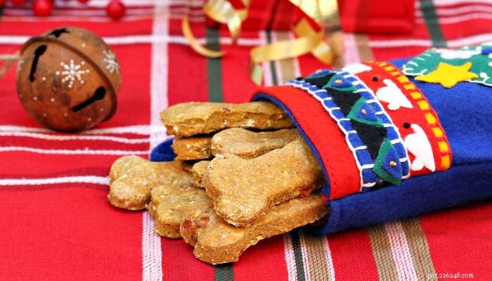 24 Healthy Christmas Dinner Recipes for Your Dog