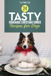 24 Healthy Christmas Dinner Recipes for Your Dog
