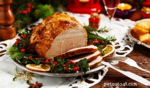 24 Healthy Christmas Dinner Recipes for Your Dog
