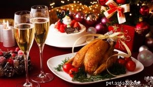 24 Healthy Christmas Dinner Recipes for Your Dog