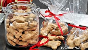 24 Healthy Christmas Dinner Recipes for Your Dog