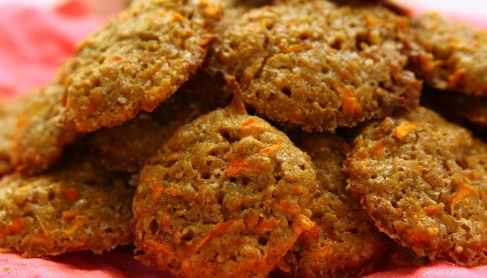 24 Healthy Christmas Dinner Recipes for Your Dog