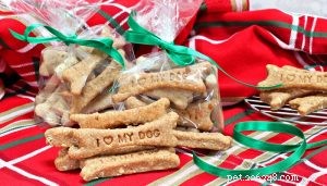 24 Healthy Christmas Dinner Recipes for Your Dog