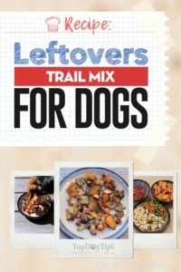 Healthy Leftover Trail Mix Recipe for Dogs