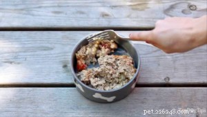 Homemade Dog Meatloaf: Simple, Healthy & Nutritious