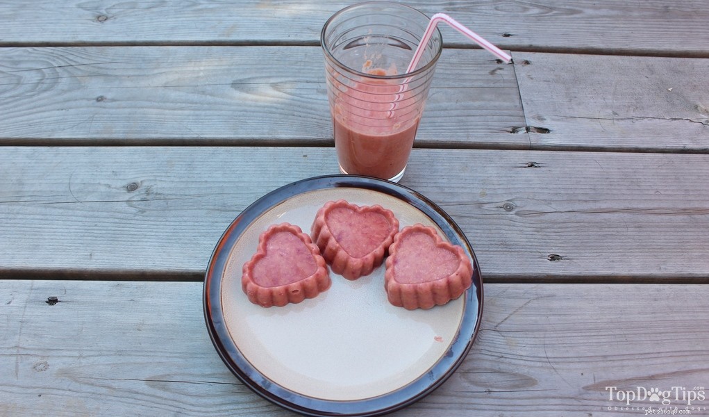 Doggy Fruit & Veggie Smoothie Recipe: Healthy Homemade Treat