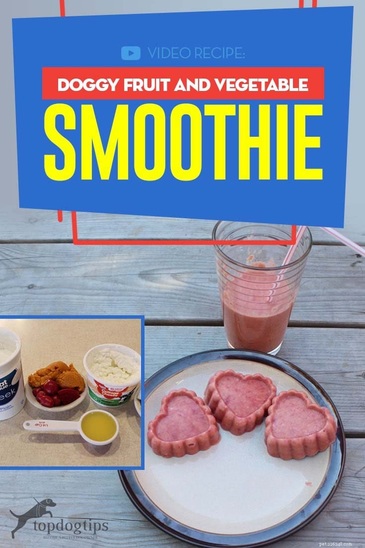 Doggy Fruit & Veggie Smoothie Recipe: Healthy Homemade Treat
