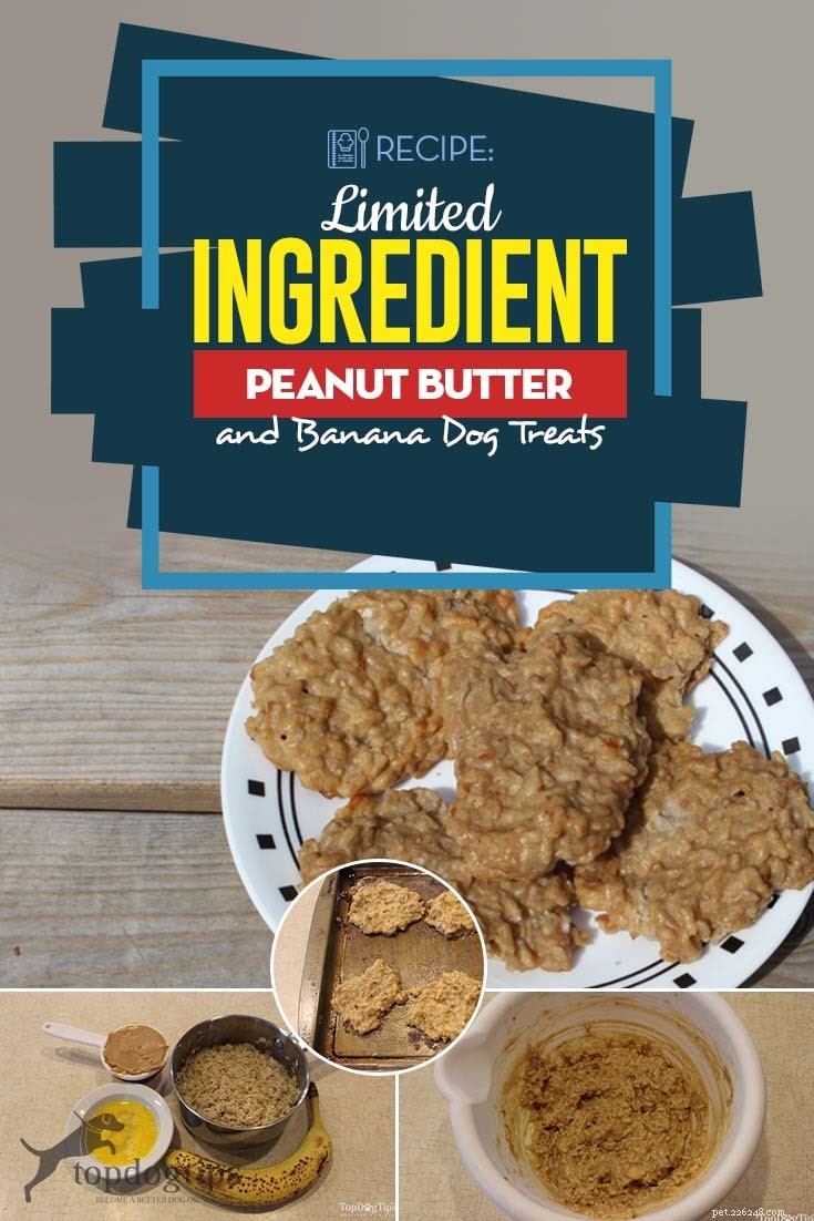 Easy Limited‑Ingredient Peanut Butter & Banana Dog Treats – Safe & Tasty
