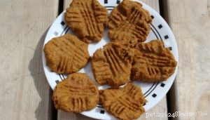 Apple & Carrot Limited-Ingredient Dog Treats – Healthy Homemade Recipe