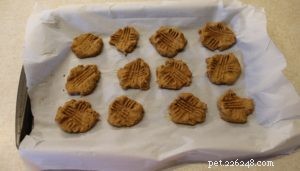 Apple & Carrot Limited-Ingredient Dog Treats – Healthy Homemade Recipe
