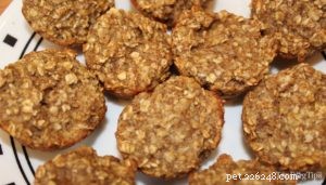 Allergy‑Friendly Limited‑Ingredient Dog Treat Recipe