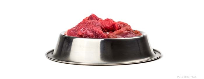 Top 6 Essential Ingredients for Homemade Dog Food