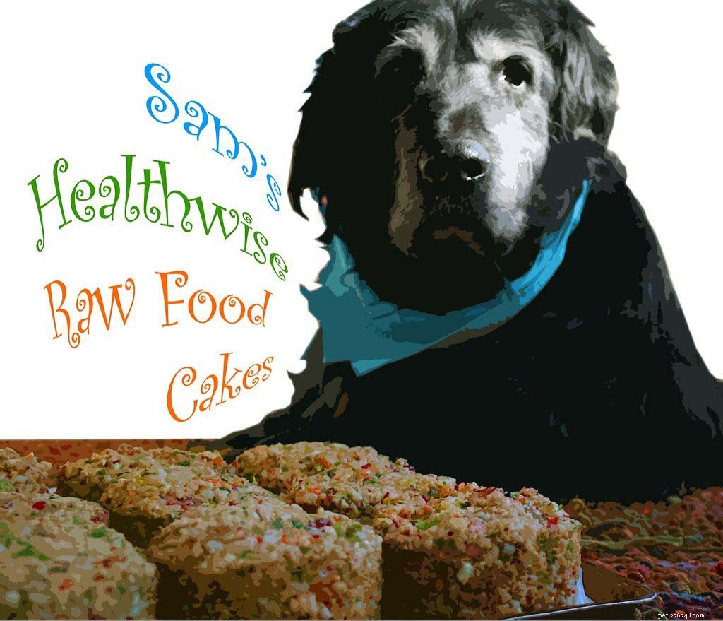 Top 10 Natural Homemade Raw Dog Food Recipes for Healthier Pets