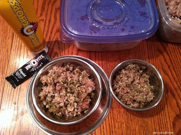 Top 10 Natural Homemade Raw Dog Food Recipes for Healthier Pets