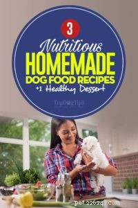 Tailored Dog Food Recipes for Every Life Stage (Plus a Sweet Treat)